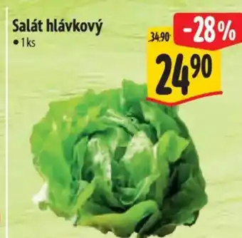 Albert Salát hlávkový nabídka