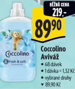 Albert Coccolino Aviváž nabídka