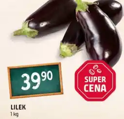 Terno Lilek nabídka