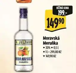 Albert Moravská meruňka nabídka