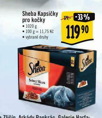 Albert Sheba kapsičky pro kočky nabídka
