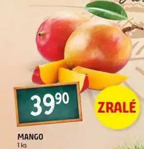 Terno Mango nabídka