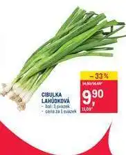 Makro CIBULKA LAHŮDKOVÁ nabídka