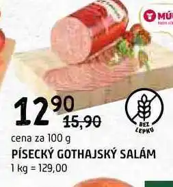 Terno Písecký Gothajský salám 100g nabídka