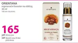 Hebe ORIENTANA nabídka