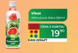 Tamda Foods Vinut Melounová štáva nabídka