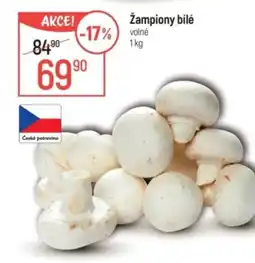 Globus Žampiony bílé nabídka