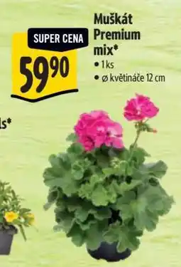 Albert Muškát premium mix nabídka