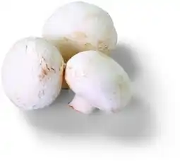 Flop Žampiony 250 g nabídka