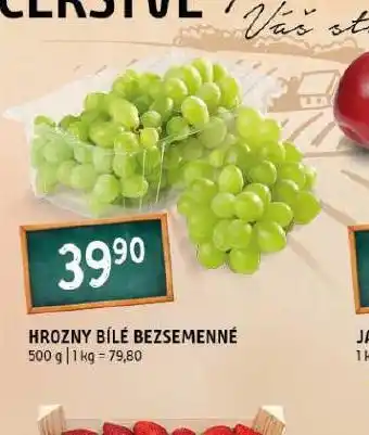 Terno Hrozny bílé bezsemenné nabídka