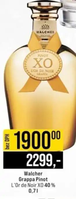 Jip Walcher Grappa Pinot L'Or de Noir XO 40% nabídka