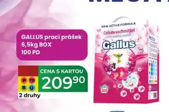 Tamda Foods GALLUS prací prášek 6,5kg BOX 100 PD nabídka