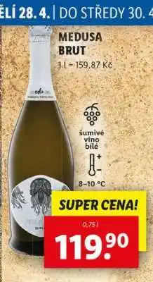 Lidl MEDUSA BRUT nabídka