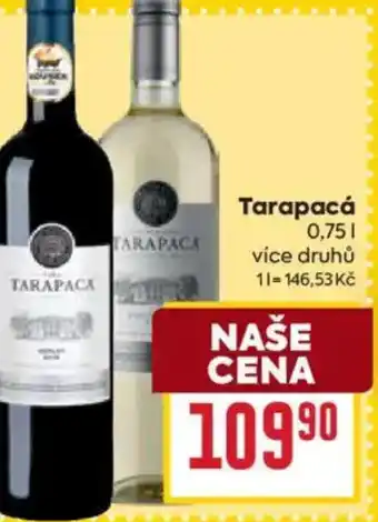Billa Tarapacá nabídka