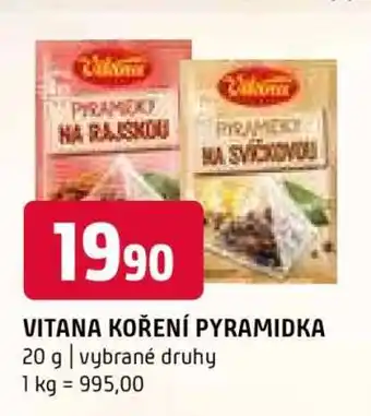 Terno VITANA KOŘENÍ PYRAMIDKA nabídka