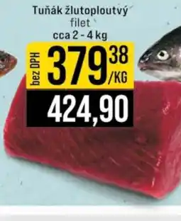 Jip Tuňák žlutoploutvý nabídka