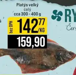 Jip Platys velký nabídka