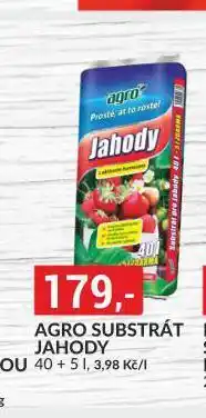 Baumax Agro subtsrát jahody nabídka