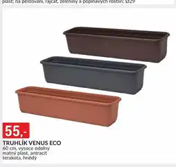 Baumax Truhlík venus eco nabídka