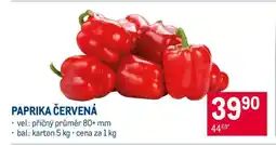 Makro Paprika červená nabídka