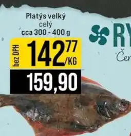 Jip Platýs velký celý nabídka