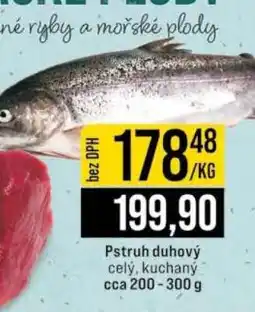 Jip Pstruh duhový nabídka
