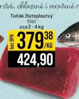 Jip Tuňák žlutoploutvý filet nabídka