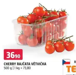 Terno CHERRY RAJČATA VĚTVIČKA nabídka