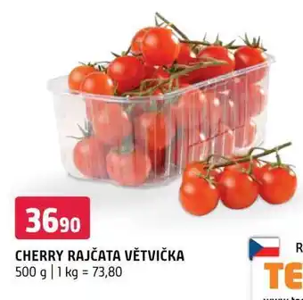 Terno CHERRY RAJČATA VĚTVIČKA nabídka
