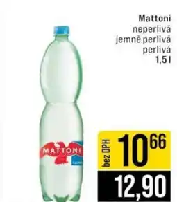 Jip Mattoni nabídka