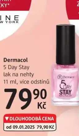 dm drogerie Dermacol nabídka