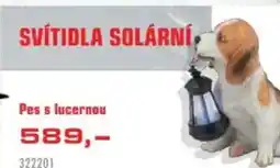 Uni Hobby Pes s lucernou nabídka