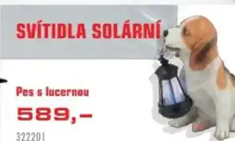 Uni Hobby Pes s lucernou nabídka