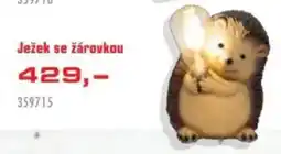 Uni Hobby Ježek se žárovkou nabídka