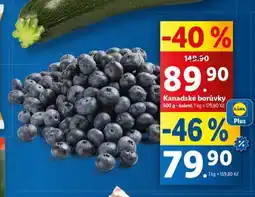Lidl Kanadské borůvky nabídka