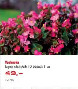 Uni Hobby Voskovka nabídka