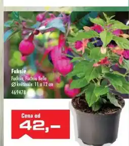 Uni Hobby Fuksie nabídka