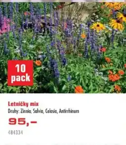 Uni Hobby Letničky mix nabídka