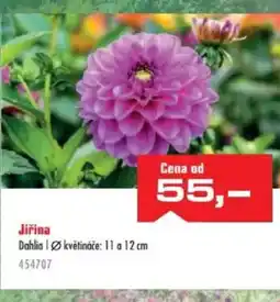 Uni Hobby Jiřina nabídka