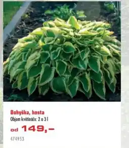 Uni Hobby Bohyška, hosta nabídka