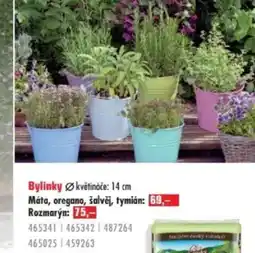 Uni Hobby Bylinky květináče nabídka