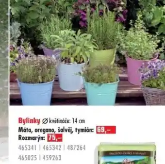Uni Hobby Bylinky květináče nabídka