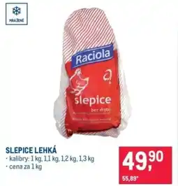 Makro Slepice lehká nabídka