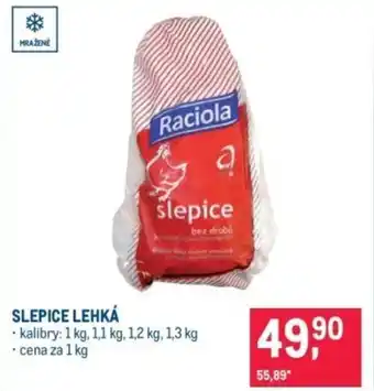 Makro Slepice lehká nabídka