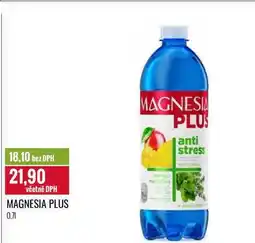 Ratio MAGNESIA PLUS 0,7l nabídka