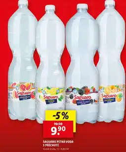 Lidl Saguaro nabídka