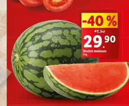 Lidl Vodní meloun nabídka