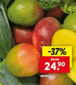 Lidl Mango nabídka