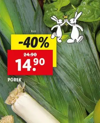 Lidl Pórek nabídka