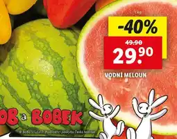 Lidl Vodní meloun nabídka